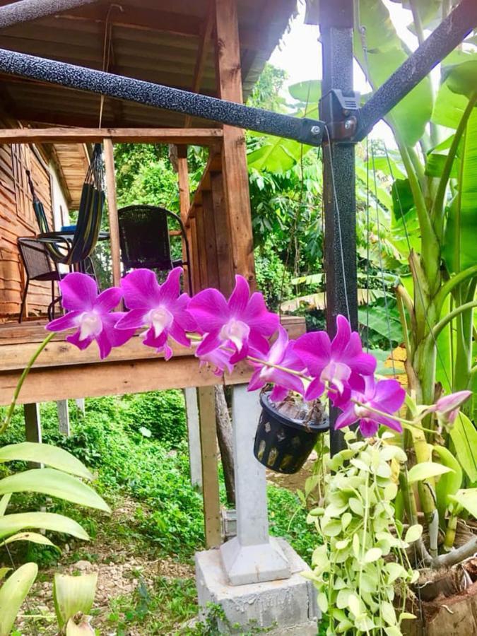 Hotel Lanta A Toi House à Ko Lanta Extérieur photo